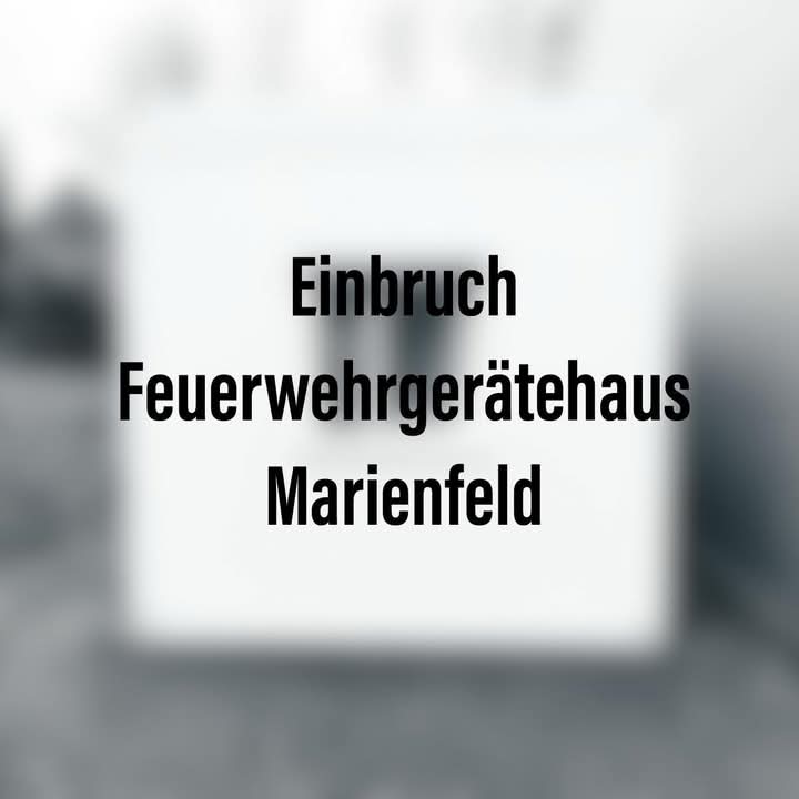FB IMG 1733515155647